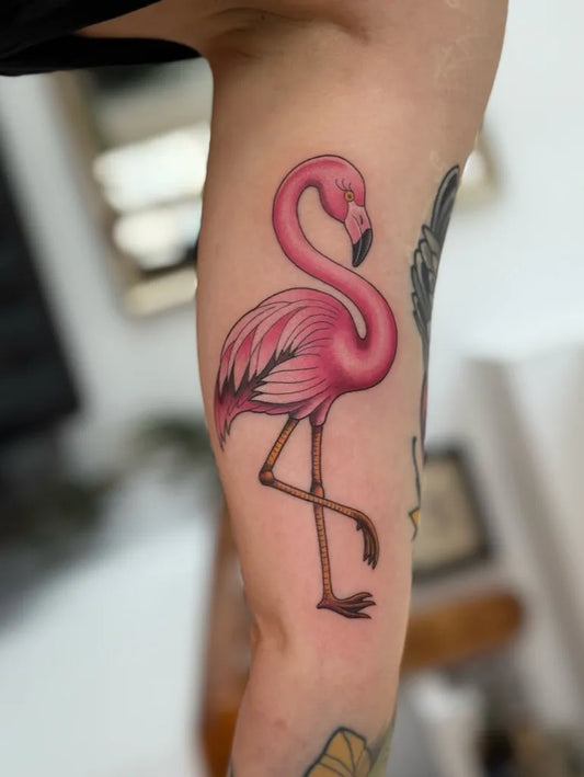 Medium Traditional Flamingo Tattoo on Women Arm by @notretattoo