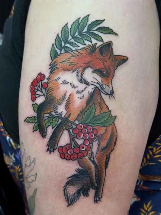 Medium Traditional Fox with Berries and Leaves Tattoo on Women Arm by @laurenperkstattoo
