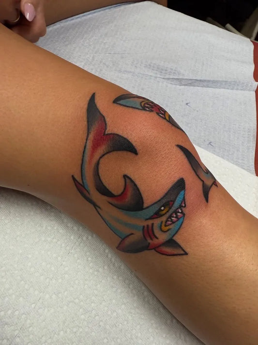 Medium Traditional Shark on Women Knee Tattoo by @kelleytattoo