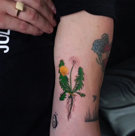 Medium Watercolor Dandelion and Roots Tattoo on Women Arm by @girlstattooclubyeg