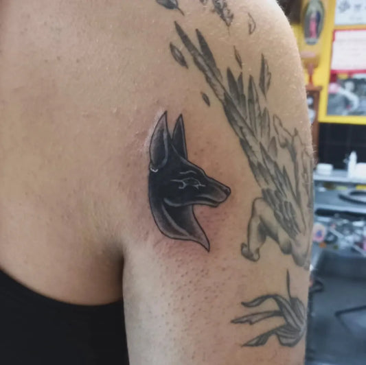 Small Black and Grey Anubis with Wings Tattoo on Women Shoulder by @badbonestattoos