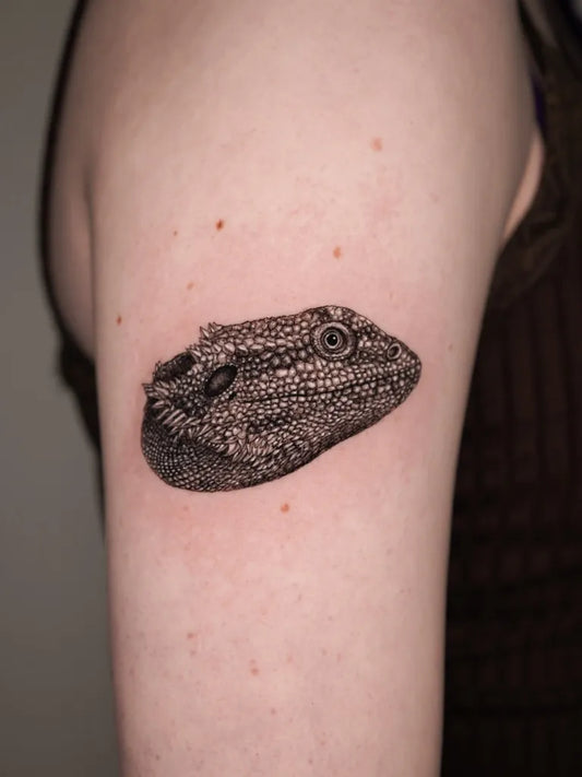 Small Black and Grey Bearded Dragon Tattoo on Women Arm by @robbee.ink