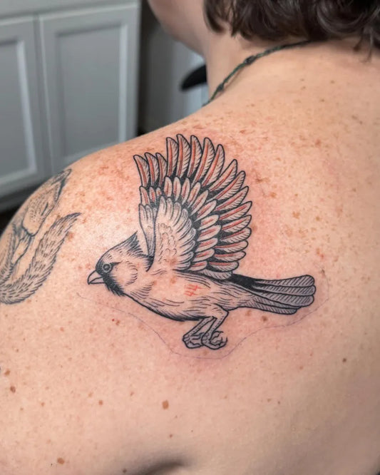 Small Black and Grey Cardinal Bird Tattoo on Women Shoulder by @squigglysqualor
