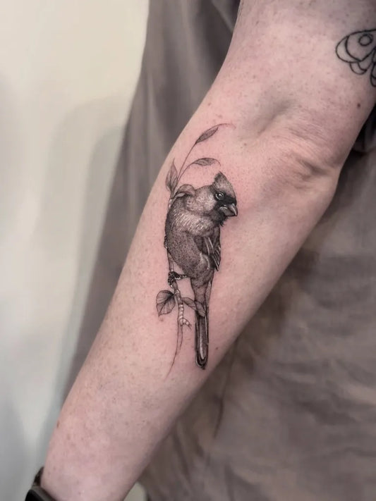 Small Black and Grey Cardinal with Branch Tattoo on Men Arm by @sharniepilar