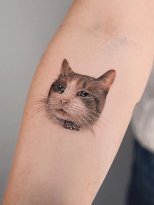 Small Black and Grey Cat Portrait Animal Tattoo on Women Forearm by @hnnhtattoo