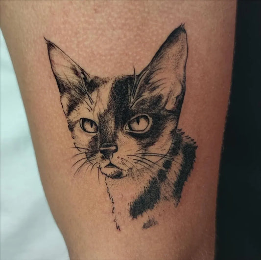 Small Black and Grey Cat Tattoo on Women Arm by @bia.tattooink