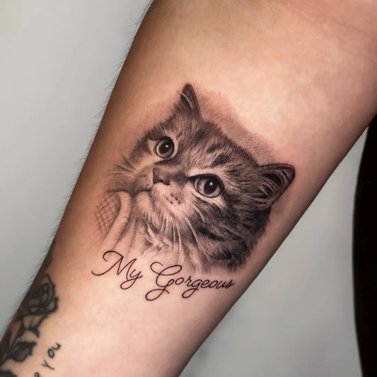 Small Black and Grey Cat with Text Tattoo on Women Arm by @yleniaattard
