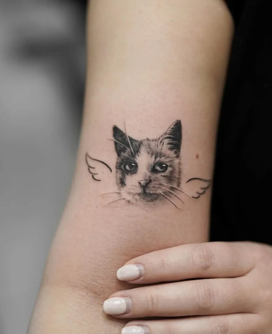 Small Black and Grey Cat with Wings Tattoo on Women Arm by @_molnarorsi_