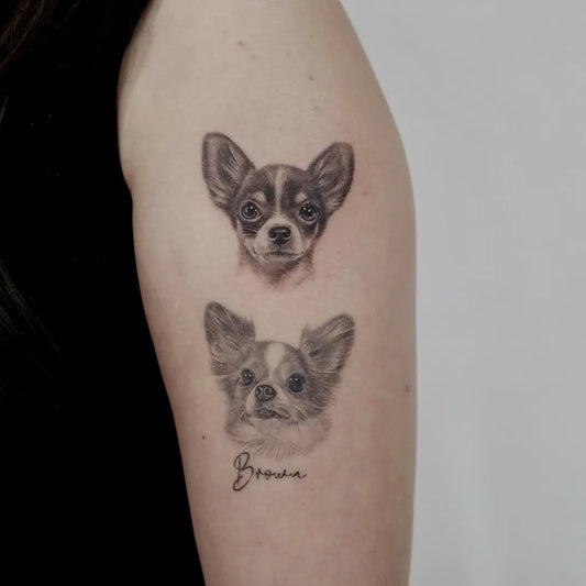 Small Black and Grey Chihuahua Dog Tattoo on Women Arm by @twodogs.tattoo.space