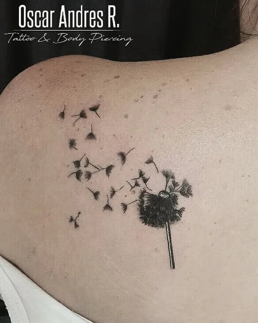 Small Black and Grey Dandelion Tattoo on Women Shoulder by @oscarandres.tattoo