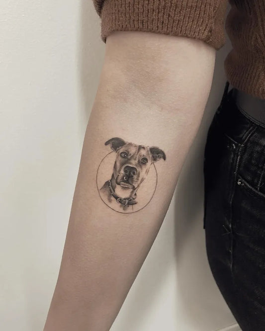 Small Black and Grey Dog Portrait Tattoo on Women Arm by @viktoria.ameti