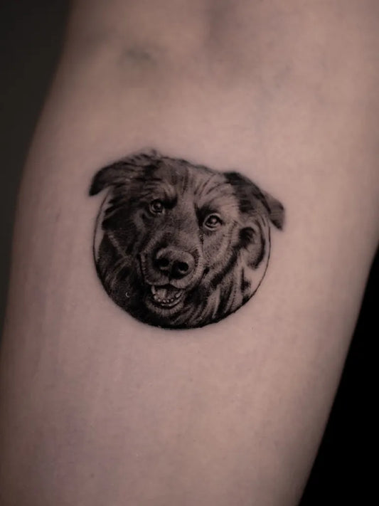 Small Black and Grey Dog Tattoo on Women Arm by @onur.kolev