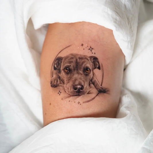Small Black and Grey Dog with Stars Tattoo on Women Arm by @jenniferpaniaguatattoo