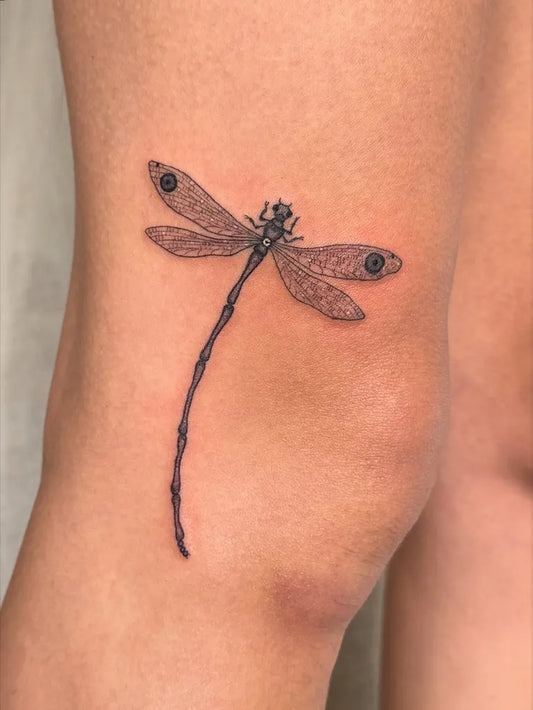 Small Black and Grey Dragonfly on Women Knee Tattoo by @poke.evoke