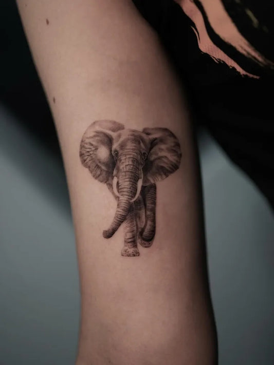 Small Black and Grey Elephant Tattoo on Women Arm by @luiscmp_