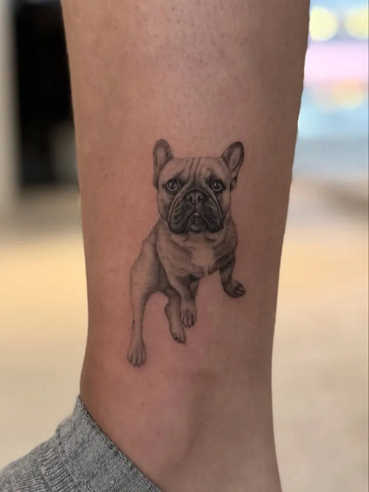 Small Black and Grey French Bulldog Tattoo on Women Leg by @lauramarshtattoo