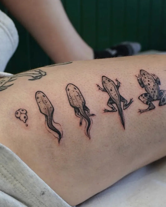 Small Black and Grey Frog Evolution Tattoo on Women Arm by @scaredy.cat.tatts