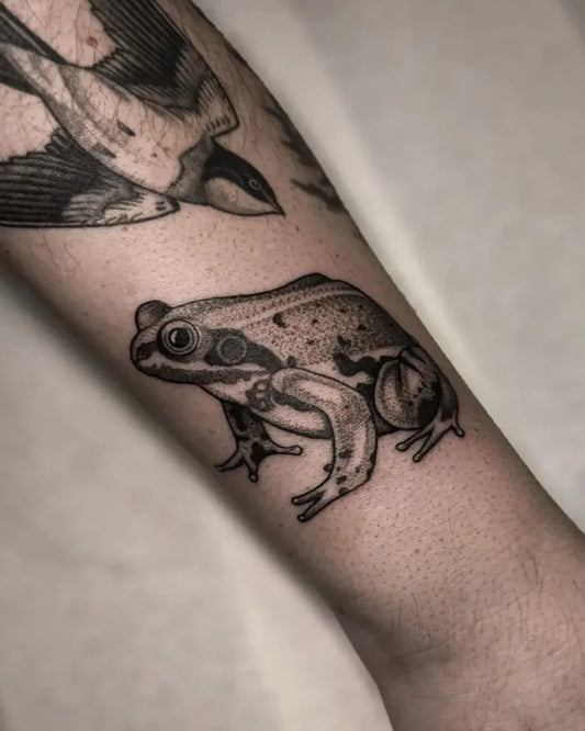 Small Black and Grey Frog Tattoo on Men Arm by @handofhopetattoo