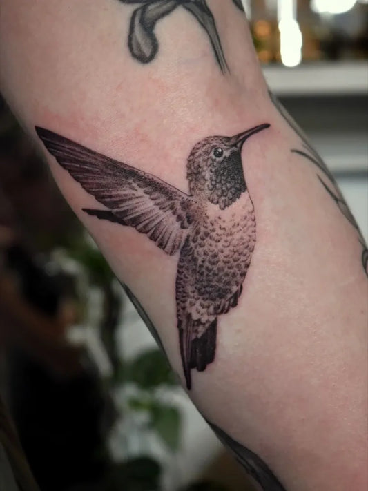 Small Black and Grey Hummingbird on Women Arm Tattoo by @tender_twig_tattoo