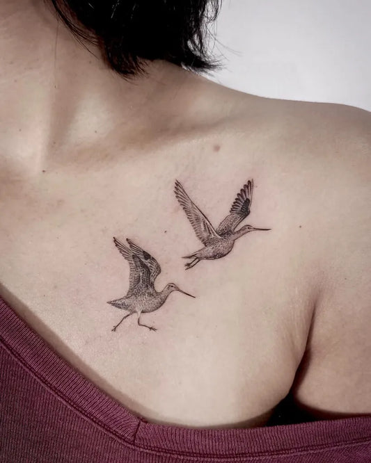 Small Black and Grey Ibis Birds Tattoo on Women Collarbone by @viret_art