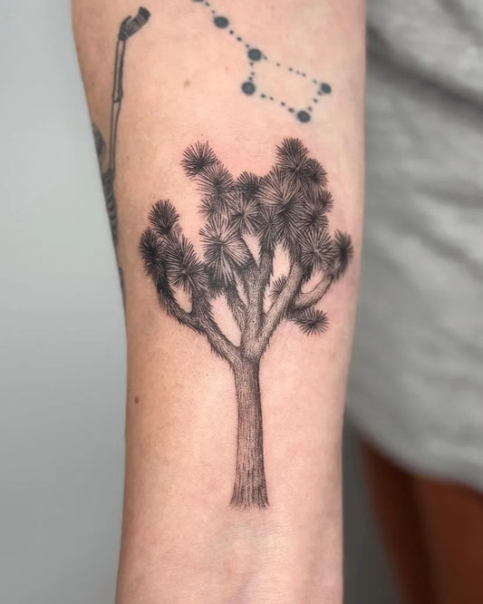 Small Black and Grey Joshua Tree Tattoo on Women Arm by @whiskietattoos