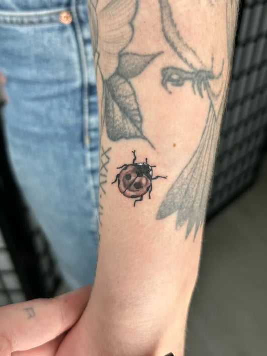 Small Black and Grey Ladybug and Dragonfly Tattoo on Women Forearm by @thompson.tattoo