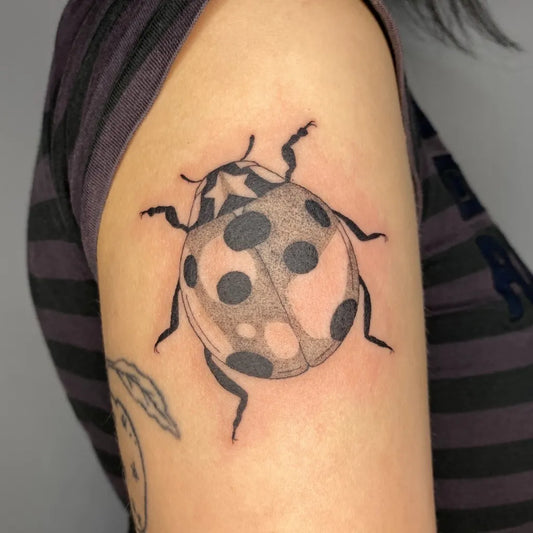 Small Black and Grey Ladybug with Star Tattoo on Women Arm by @restless.needles