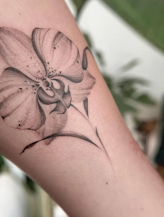 Small Black and Grey Orchid Tattoo on Women Arm by @uraeus_estudio