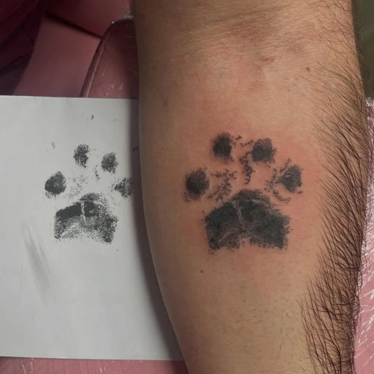 Small Black and Grey Paw Print Tattoo on Men Forearm by @inked.by.tam
