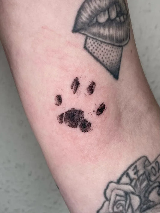 Small Black and Grey Paw Print Tattoo on Women Arm by @niche_ink_