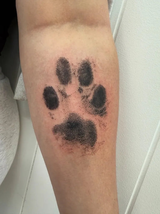 Small Black and Grey Paw Print Tattoo on Women Arm by @roseandthorntattoostudio