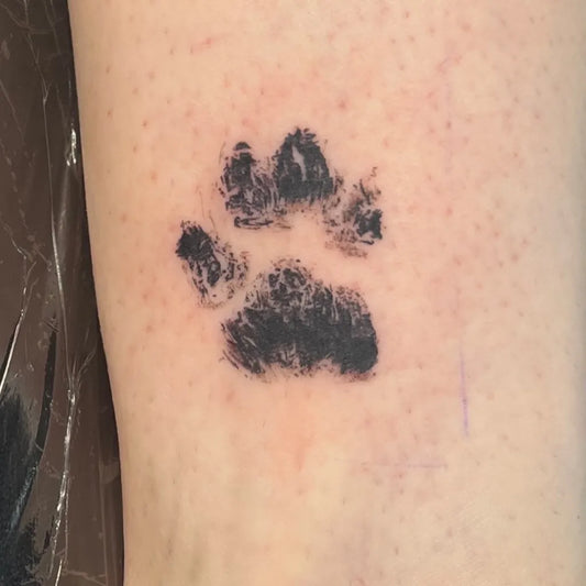 Small Black and Grey Paw Print Tattoo on Women Leg by @stlouistattoo