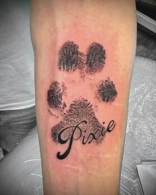 Small Black and Grey Paw Print and Name Tattoo on Women Arm by @domdurrelltattoo
