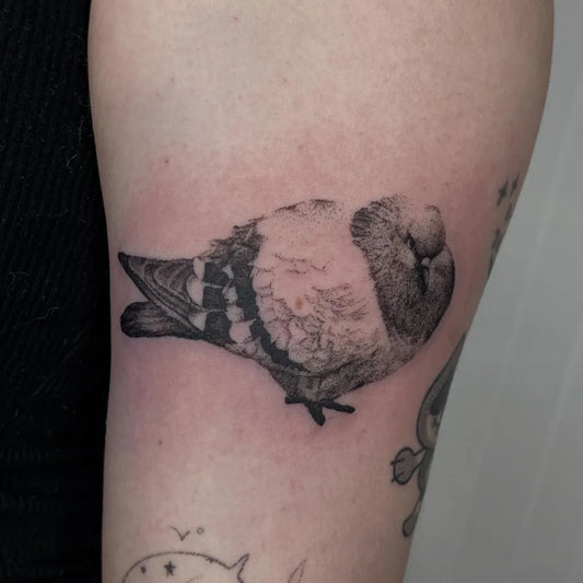 Small Black and Grey Pigeon Tattoo on Women Arm by @milkyy.strawberryy
