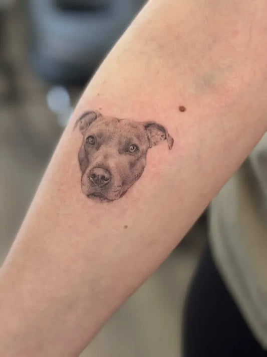 Small Black and Grey Pitbull Tattoo on Women Arm by @nyla_bluestaffy