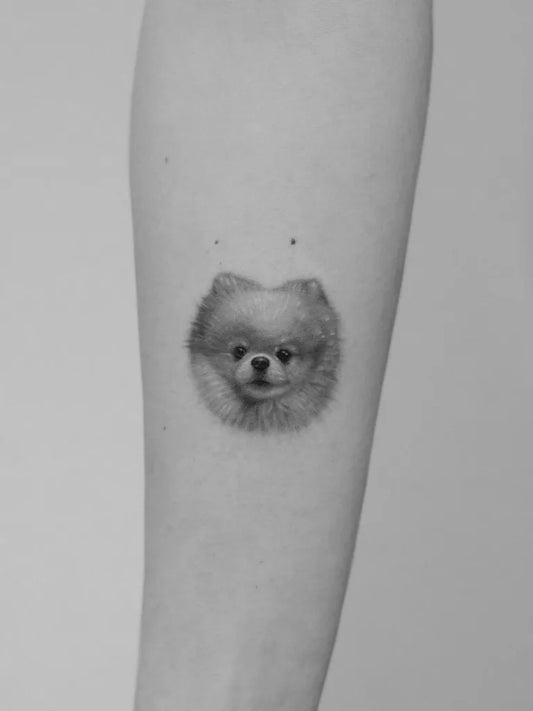 Small Black and Grey Pomeranian Dog Tattoo on Women Arm by @aueta_