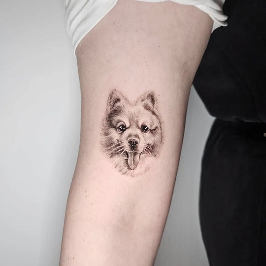 Small Black and Grey Pomeranian Dog Tattoo on Women Arm by @s.f_tattoo