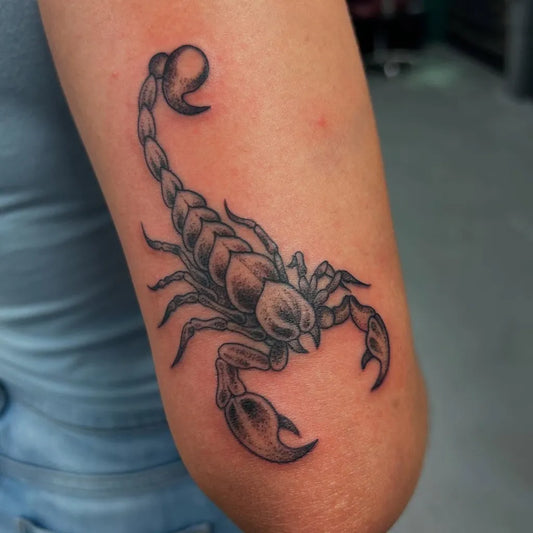 Small Black and Grey Scorpion on Women Arm Tattoo by @the_tactician