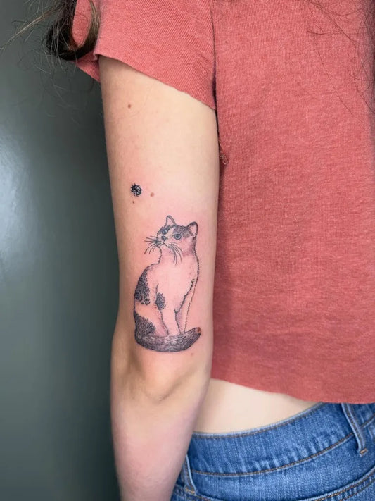 Small Black and Grey Sitting Cat and Ladybug Tattoo on Women Arm by @indigopokes