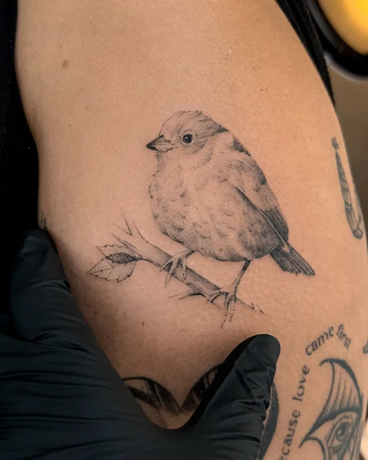 Small Black and Grey Sparrow on Branch Tattoo on Women Upper Arm by @lukas.ejsmont