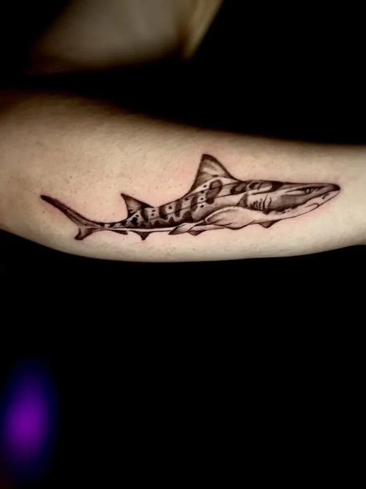 Small Black and Grey Tiger Shark on Women Forearm Tattoo by @rjink.tattoos