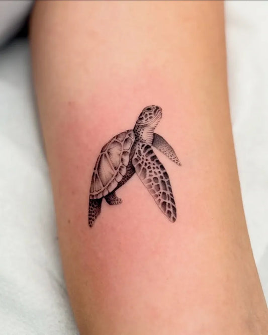 Small Black and Grey Turtle Tattoo on Women Arm by @filll.ink