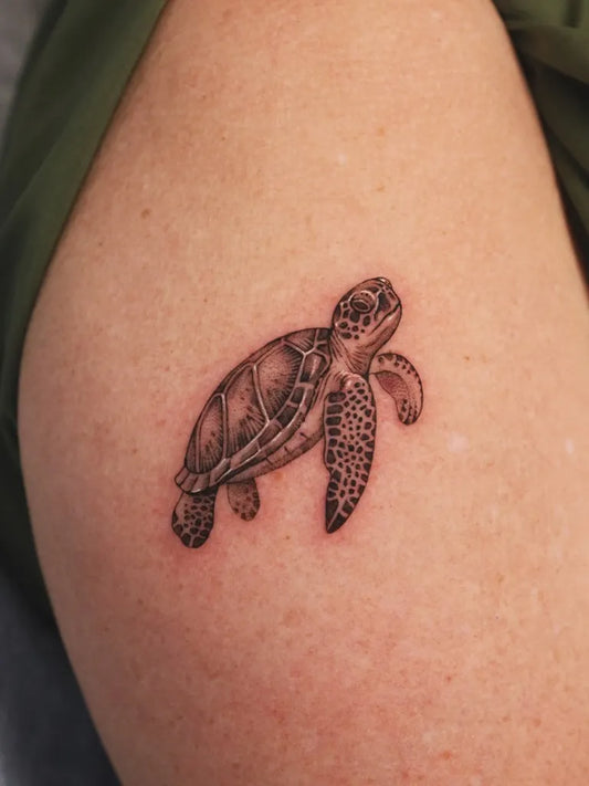 Small Black and Grey Turtle Tattoo on Women Arm by @yonder.tattoo