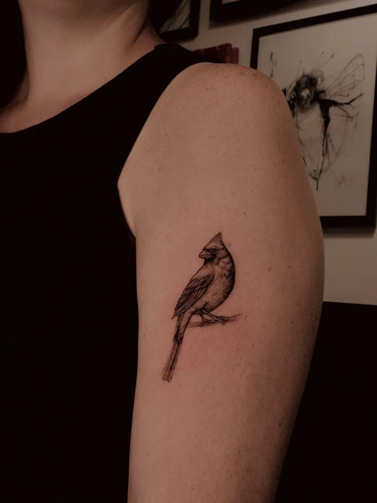 Small Blackwork Cardinal Tattoo on Women Arm by @alejacardonart
