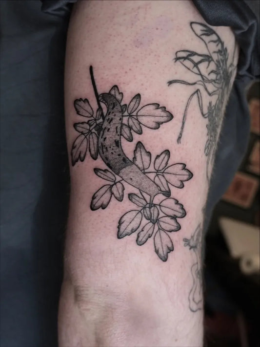 Small Blackwork Caterpillar and Leaves Nature Tattoo on Men Arm by @artgustina