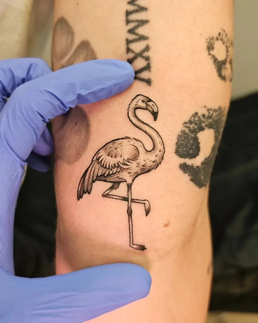 Small Blackwork Flamingo Tattoo on Women Arm by @csankeytat2s