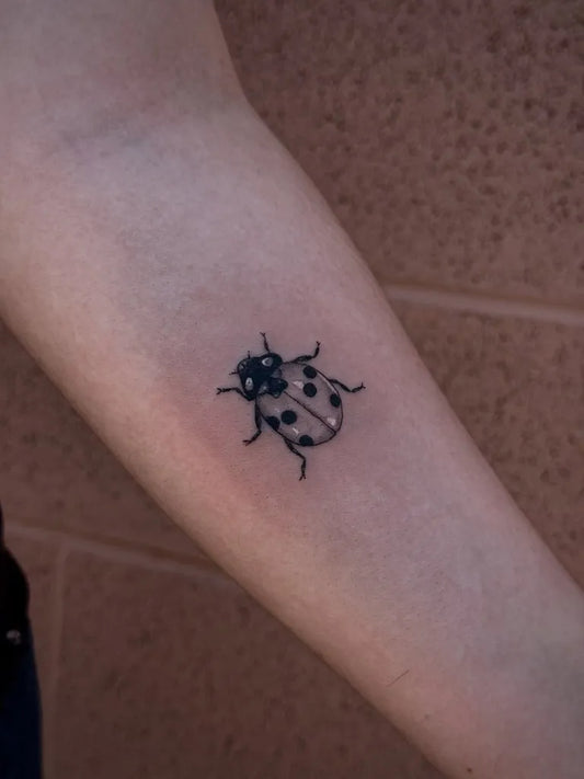 Small Blackwork Ladybug Tattoo on Women Forearm by @portals___