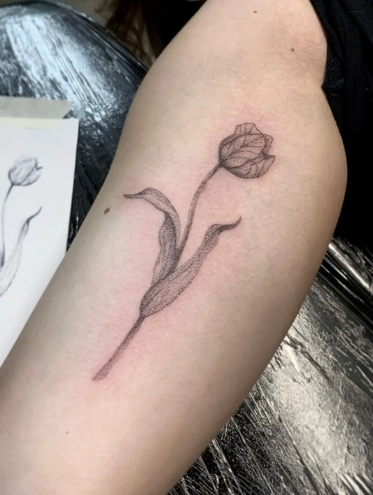 Small Blackwork Tulip Tattoo on Women Arm by @levibuet
