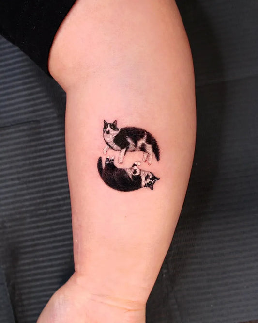 Small Blackwork Yin Yang Cats Tattoo on Women Arm by @eins_tattooer