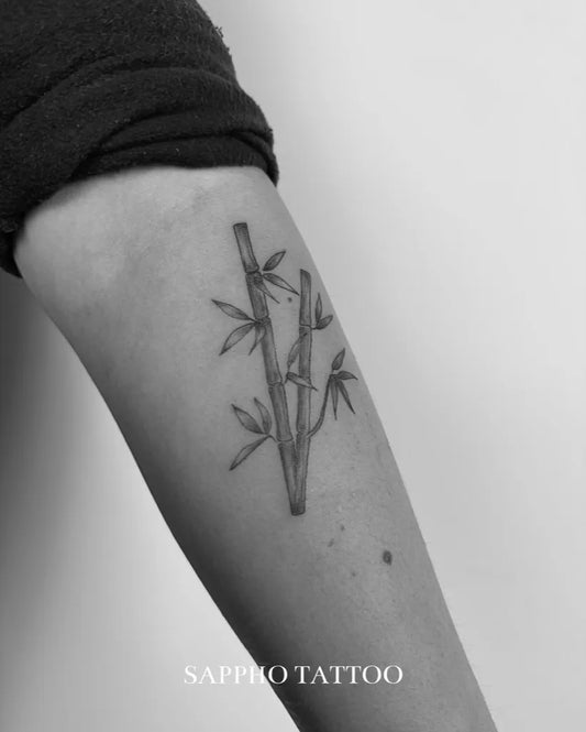 Small Chinese Bamboo Tattoo on Women Arm by @sappho.tattoo
